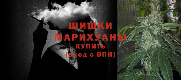 спайс Алзамай