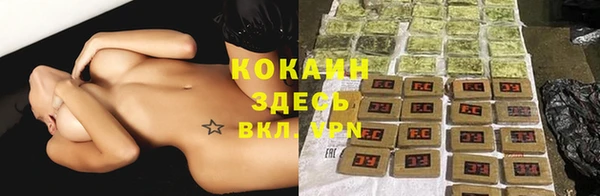 спайс Алзамай