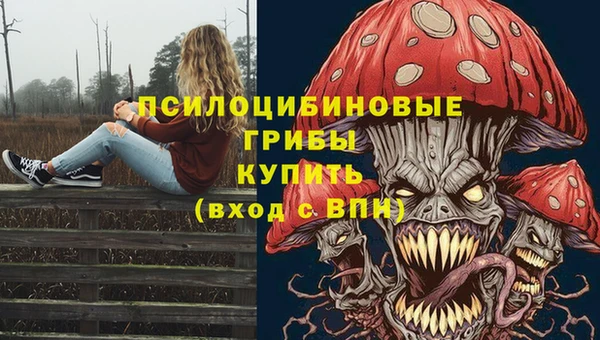 спайс Алзамай