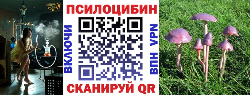 блэк спрут рабочий сайт  Артёмовский  Галлюциногенные грибы Cubensis 